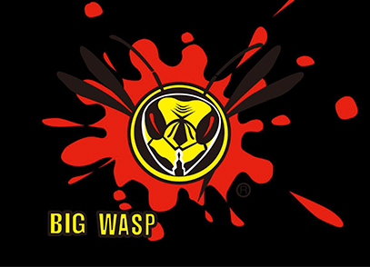 ITCB - Big Wasp